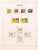 Lot 1193 (68)