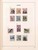 Lot 1285 (117)