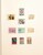 Kavel 1297 (58)