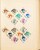 Kavel 1011 (40)