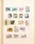 Kavel 1011 (97)