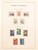Kavel 3025 (50)