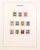 Lot 3023 (13)