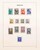 Lot 3023 (17)