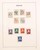Lot 3023 (67)