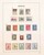 Lot 3023 (73)