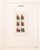 Lot 3023 (144)