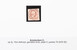 Kavel 2699 (2)