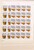 Kavel 1093 (57)