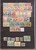 Lot 1028 (22)