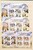 Kavel 1049 (7)