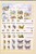 Kavel 1049 (19)