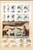 Kavel 1049 (21)