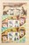 Kavel 1049 (22)