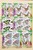 Kavel 1049 (26)