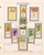 Kavel 1217 (26)