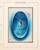 Kavel 1217 (41)