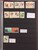 Lot 1084 (45)