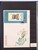 Lot 1084 (78)