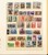 Kavel 1246 (48)