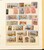 Kavel 1246 (70)