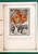Kavel 1284 (278)