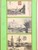 Lot 1122 (139)