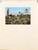 Lot 1122 (264)