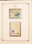 Lot 1245 (227)