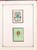 Lot 1245 (243)