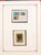 Lot 1245 (244)