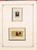 Lot 1245 (246)