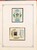 Lot 1245 (247)