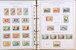 Kavel 1114 (117)