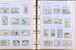 Kavel 1114 (153)