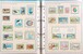 Kavel 1114 (197)