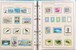 Kavel 1114 (213)
