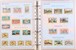 Kavel 1114 (248)