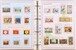 Kavel 1114 (260)