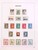 Lot 3002 (42)