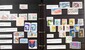 Lot 1119 (19)