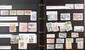 Lot 1119 (20)