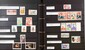 Lot 1119 (24)