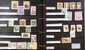 Lot 1119 (30)
