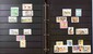 Lot 1119 (45)