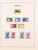 Kavel 3053 (61)
