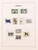 Kavel 3027 (78)