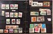 Lot 1077 (12)