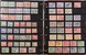 Lot 1077 (21)