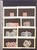 Lot 1088 (19)